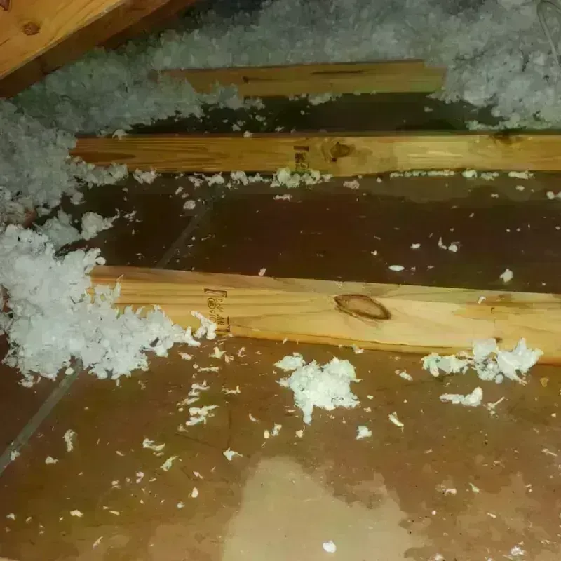 Attic Water Damage in Wellington, TX